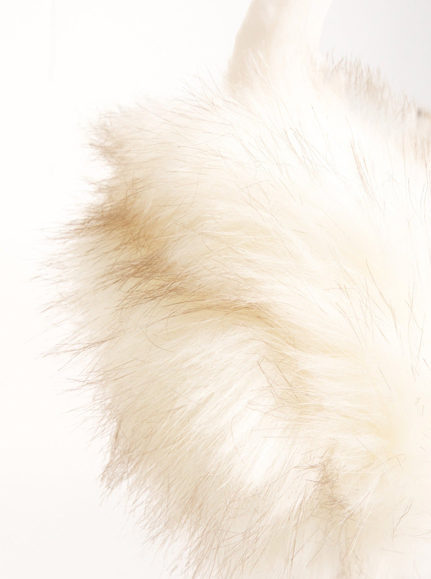 Long Faux Fur Earmuffs in White | Soft e Girl | Grunge | Grunge sleaze | Balletcore | Plaza Core | Old Money | Y2k | Baddie | Fall | Winter | Autumn | Ski | Skiing | Ski Season | Ski Accessories | Ski Style | Women | Women's Accessories | Fall Accessories | Winter Accessories | Streetwear | Streetstyle | Fluff